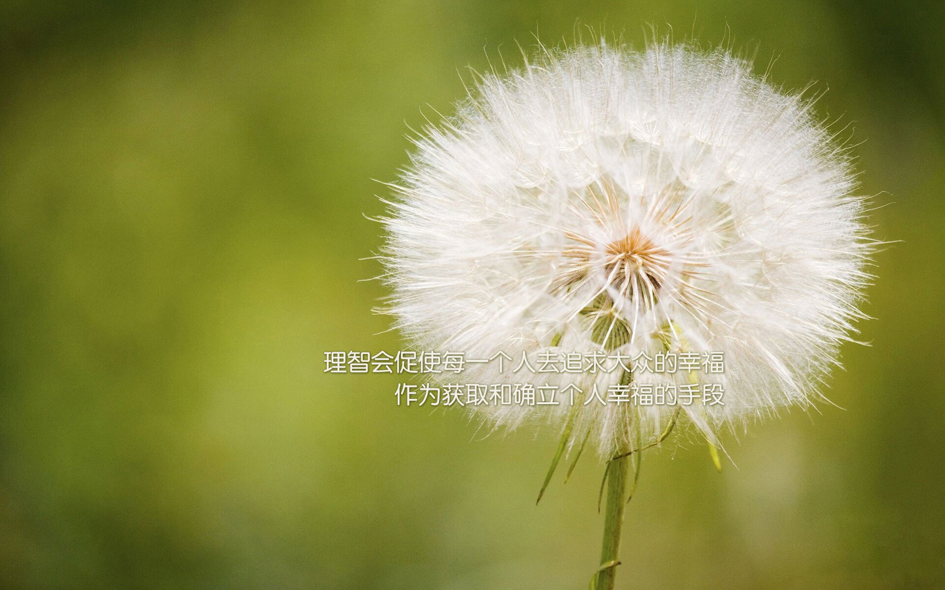 CBA球队注重体能周期化训练安排，cba球员体测标准