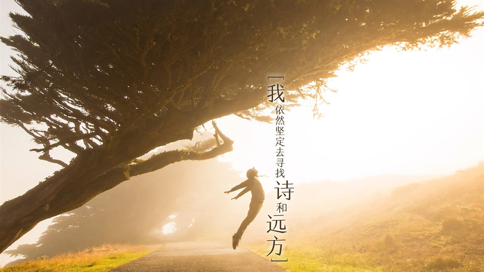 “简阳文体中心：篮球赛上演扣篮与三分的极限挑战”