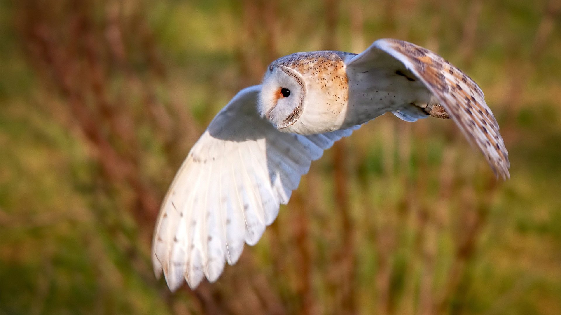 中国足球青训体系国际化交流活动频繁，中国足球的青训理念包括