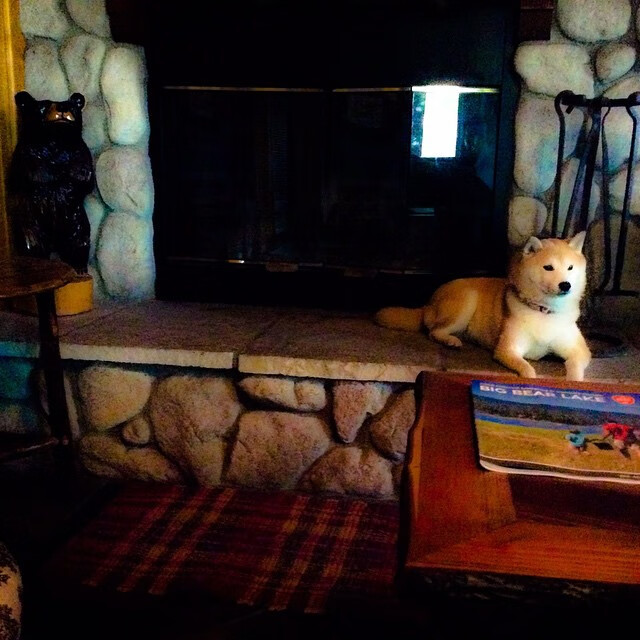 卡萨斯决赛表现超出预期，卡萨斯王