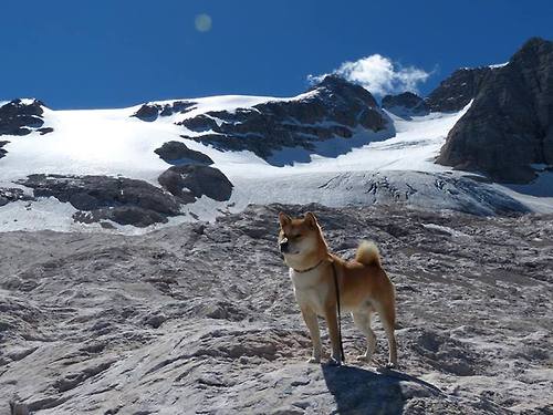 国家田径协会通报青少年速度训练数据采集成果，青少年田径运动技能等级标准与测试方法