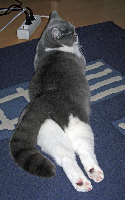 威少连砍三双奇才再度问鼎榜首，威少出场比赛奇才1胜8负 新闻