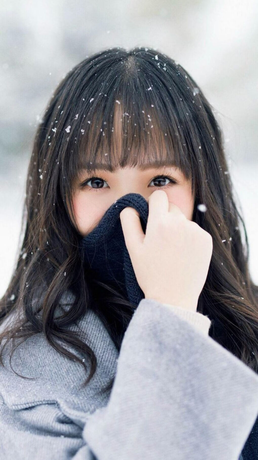 欧洲杯期间的志愿者服务体系,欧洲杯期间的志愿者服务体系有哪些