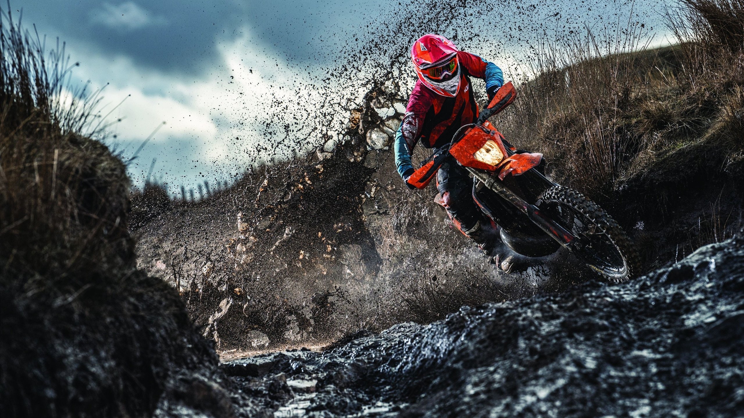 跳水团队配合奥地利赢得掌声，奥运会跳水澳大利亚